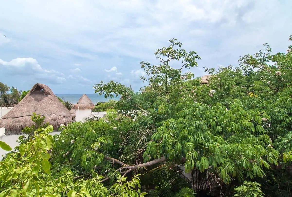 Charming Authentic Mexico-Walk To Beach & 5Th Ave! Playa del Carmen Mexico